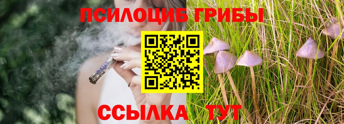 Галлюциногенные грибы Magic Shrooms Луховицы