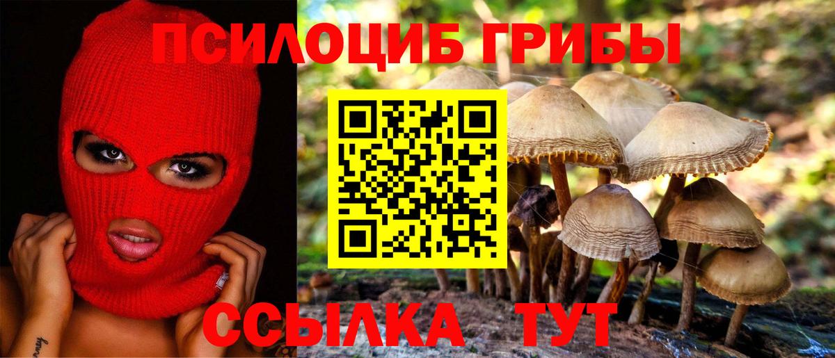 Галлюциногенные грибы прущие грибы  Галлюциногенные грибы MAGIC MUSHROOMS  Вход с VPN  Луховицы 